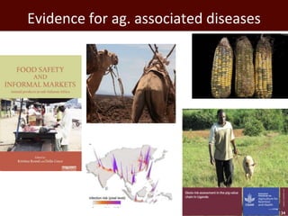 Healthy lives: Tackling food-borne diseases and zoonoses 