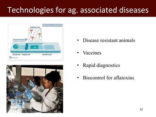 Healthy lives: Tackling food-borne diseases and zoonoses 
