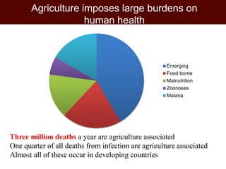 Healthy lives: Tackling food-borne diseases and zoonoses 