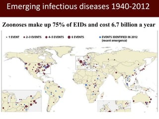 Healthy lives: Tackling food-borne diseases and zoonoses 