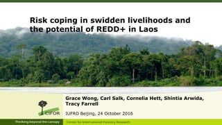 Risk coping in swidden livelihoods and
the potential of REDD+ in Laos
Grace Wong, Carl Salk, Cornelia Hett, Shintia Arwida,
Tracy Farrell
IUFRO Beijing, 24 October 2016
 