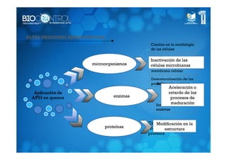 ALTAS PRESIONES HIDROSTÁTICAS
                                               Cambio en la morfología
                                               de las células

                                               Modificaciones que
                                               Inactivación de las
                                               afectan a la
                        microorganismos        células microbianas
                                               permeabilidad de la
                                               membrana celular

                                               Desnaturalización de las
                                               proteínas
                                                  Activación enzimas
                                                         Aceleración o
                                                        retardo de los
                                    enzimas               procesos de
                                                          maduración
                                                 Inactivación de
                                                 enzimas


                                              Cambios en la
                                                  Modificación en la
                                proteínas     configuración
                                                      estructura
                                              proteíca
 