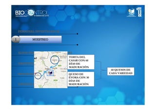 PERSONAL INVESTIGADOR

1           MUESTREO
    SITUACIÓN ACTUAL


    ALTAS PRESIONES HIDROSTÁTICAS
                                TORTA DEL
                                CASAR CON 60
    OBJETIVOS DE LA INVESTIGACIÓN
                                DÍAS DE
                                MADURACIÓN
                                                60 QUESOS DE
    METODOLOGÍA DE INVESTIGACIÓN
                              QUESO DE         CADA VARIEDAD
                                ÉVORA CON 30
                                DÍAS DE
    ENSAYOS PREVIOS DE APH      MADURACIÓN
 