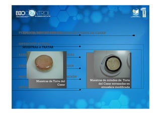 PERSONAL INVESTIGADOR
  APLICACIÓN DE APH A QUESOS DE TORTA DE CASAR


SITUACIÓN ACTUAL
  MUESTRAS A TRATAR

ALTAS PRESIONES HIDROSTÁTICAS


OBJETIVOS DE LA INVESTIGACIÓN


METODOLOGÍA DE INVESTIGACIÓN
         Muestras de Torta del       Muestras de mitades de Torta
                        Casar             del Casar envasadas en
ENSAYOS PREVIOS DE APH                      atmosfera modificada
 