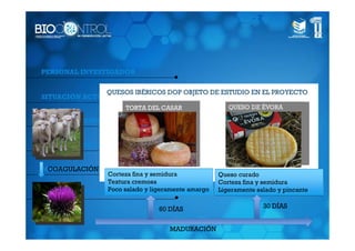PERSONAL INVESTIGADOR


               QUESOS IBÉRICOS DOP OBJETO DE ESTUDIO EN EL PROYECTO
SITUACIÓN ACTUAL
                        TORTA DEL CASAR

ALTAS PRESIONES HIDROSTÁTICAS


OBJETIVOS DE LA INVESTIGACIÓN


 COAGULACIÓN
METODOLOGÍA DE INVESTIGACIÓN
                Corteza fina y semidura            Queso curado
                Textura cremosa                    Corteza fina y semidura
                Poco salado y ligeramente amargo
ENSAYOS PREVIOS DE APH                             Ligeramente salado y pincante


                                 60 DÍAS                         30 DÍAS


                                    MADURACIÓN
 