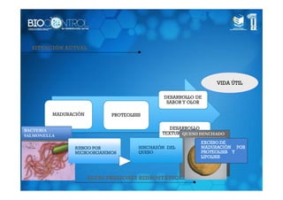 SITUACIÓN ACTUAL




                                                        VIDA ÚTIL




BACTERIA
SALMONELLA                                   QUESO HINCHADO




                 ALTAS PRESIONES HIDROSTÁTICAS
 