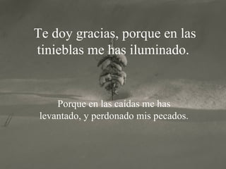 Te doy gracias, porque en las tinieblas me has iluminado.   Porque en las caídas me has levantado,  y  perdonado mis pecados. 