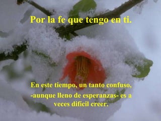 Por la fe que tengo en ti.




En este tiempo, un tanto confuso,
-aunque lleno de esperanzas- es a
        veces difícil creer.
 