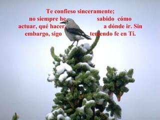 Te confieso sinceramente;
    no siempre he             sabido cómo
actuar, qué hacer,              a dónde ir. Sin
  embargo, sigo            teniendo fe en Ti.
 