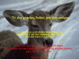 Te doy gracias, Señor, por mis amigos



        Y GRACIAS A USTEDES POR TODO EL
       APOYO QUE HE RECIBIDO Y QUE ME HA
             HECHO GRATA LA VIDA.


      GRACIAS A USTEDES NO ME SENTÍ SOLO
QUE DIOS LES MULTIPLIQUE TODAS LAS BENDICIONES
               QUE ME BRINDARON

                 GRACIAS …!!
 