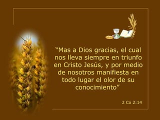 “ Mas a Dios gracias, el cual nos lleva siempre en triunfo en Cristo Jesús, y por medio de nosotros manifiesta en todo lugar el olor de su conocimiento”   2 Co 2:14 