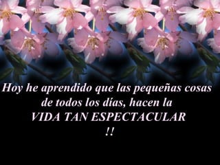 Hoy he aprendido que las pequeñas cosas  de todos los días, hacen la  VIDA TAN ESPECTACULAR !! 