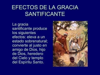 EFECTOS DE LA GRACIAEFECTOS DE LA GRACIA
SANTIFICANTESANTIFICANTE
La graciaLa gracia
santificante producesantificante produce
los siguienteslos siguientes
efectos: eleva a unefectos: eleva a un
estado sobrenatural;estado sobrenatural;
convierte al justo enconvierte al justo en
amigo de Dios, hijoamigo de Dios, hijo
de Dios, herederode Dios, heredero
del Cielo y templodel Cielo y templo
del Espíritu Santo.del Espíritu Santo.
 