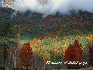 El monte, el árbol y yo
 