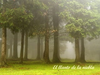 El llanto de la niebla
 