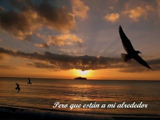 Pero que están a mi alrededor
 