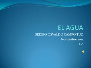 SERGIO OSVALDO CAMPO TUZ
             Noviembre 2011
                        1-c
 