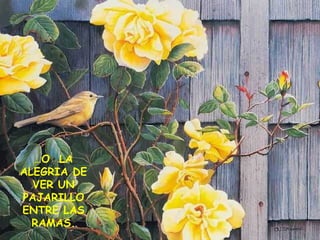 … O  LA ALEGRIA DE VER UN PAJARILLO ENTRE LAS RAMAS. 