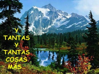 Y TANTAS Y TANTAS COSAS MÁS… 