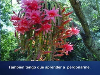 También tengo que aprender a perdonarme.

 