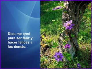 Dios me creó
para ser feliz y
hacer felices a
los demás.

 