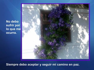 No debo
sufrir por
lo que me
ocurra.

Siempre debo aceptar y seguir mi camino en paz.

 