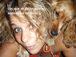 Los que se dejan querer, apenas los conocés …