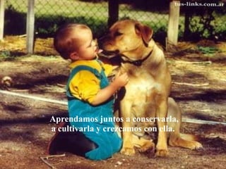 Aprendamos juntos a conservarla, a cultivarla y crezcamos con ella.  