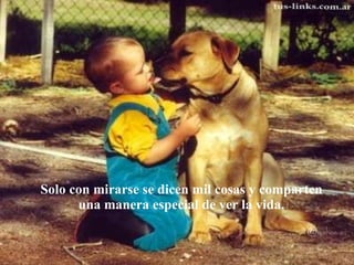 Solo con mirarse se dicen mil cosas y comparten una manera especial de ver la vida. 