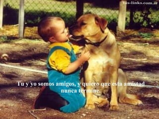 Tu y yo somos amigos, y quiero que esta amistad  nunca termine.  