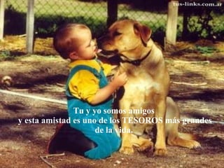 Tu y yo somos amigos y esta amistad es uno de los TESOROS más grandes de la vida. 