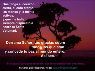 Que tenga el corazón alerta, el oído atento, las manos y la mente activas, y que me halle siempre dispuesto a hacer tu Santa Voluntad. Derrama Señor, tus gracias sobre  todos los que amo y concede tu paz al mundo entero.  Así sea. Si te gustó esta presentación, por favor compártela con otros.  Para más presentaciones, visita: www.tommyswindow.com    