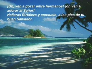 ¡Oh, ven a gozar entre hermanos! ¡oh ven a
adorar al Señor!
Hallaras fortaleza y consuelo, a los pies de tu
buen Salvador.
 