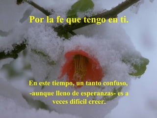 Por la fe que tengo en ti. En este tiempo, un tanto confuso,  -aunque lleno de esperanzas- es a veces difícil creer. 
