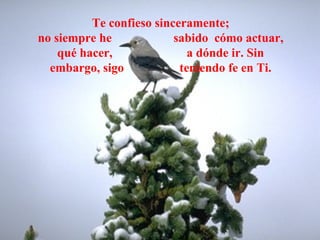 Te confieso sinceramente; no siempre he  sabido  cómo actuar, qué hacer,  a dónde ir. Sin embargo, sigo  teniendo fe en Ti. 