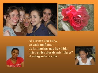 Al abrirse una flor...
en cada mañana,
de las muchas que he vivido,
 miro en los ojos de mis “tigres”
el milagro de la vida.


                                .
 