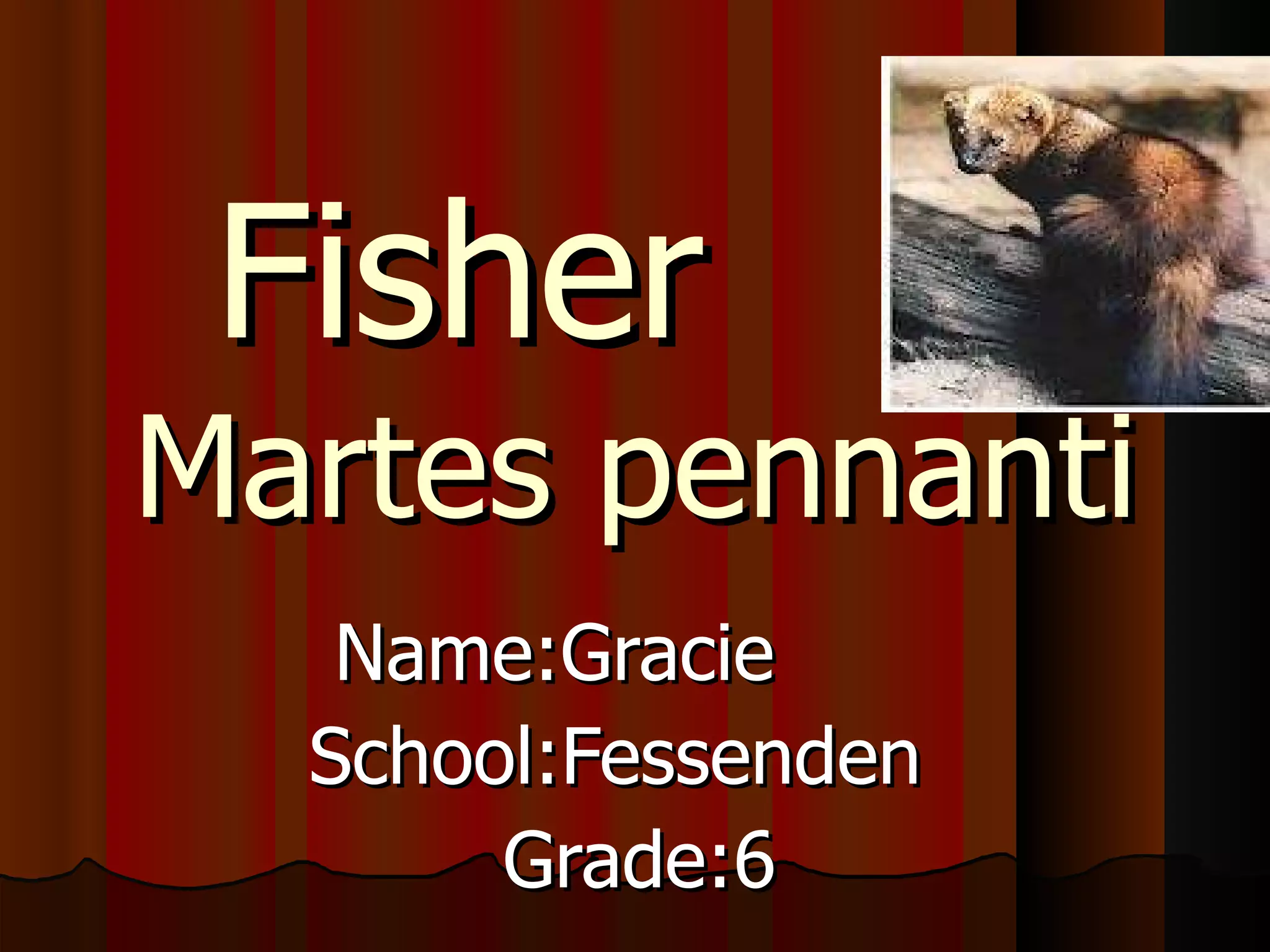 Gracie gatt fisher #12 | PPT