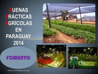 BUENAS PRÁCTICAS AGRÍCOLAS EN PARAGUAY 2014 
FOMENTO 
GRACIELA ESTIGARRIBIA DE LÓPEZ 
1  
