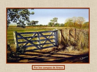 Por los campos de Areco 