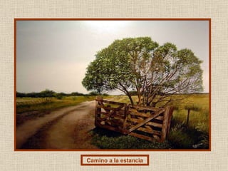 Camino a la estancia 