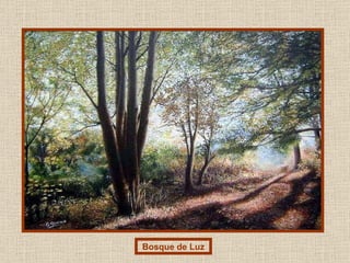 Bosque de Luz 