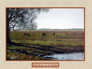 Atardecer en el campo 