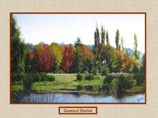 Quietud Otoñal 