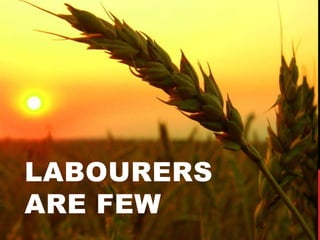 LABOURERS
ARE FEW
 