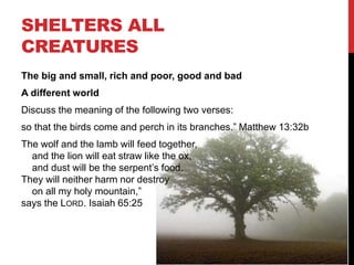 SHELTERS ALL
CREATURES
The big and small, rich and poor, good and bad
A different world
Discuss the meaning of the following two verses:
so that the birds come and perch in its branches.” Matthew 13:32b
The wolf and the lamb will feed together,
and the lion will eat straw like the ox,
and dust will be the serpent’s food.
They will neither harm nor destroy
on all my holy mountain,”
says the LORD. Isaiah 65:25
 
