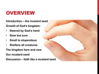 OVERVIEW
Introduction – the mustard seed
Growth of God’s kingdom:
• Steered by God’s hand
• Slow but sure
• Small to stupendous
• Shelters all creatures
The kingdom here and now
Our mustard seed
Discussion – faith like a mustard seed
 