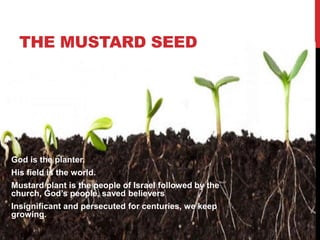 THE MUSTARD SEED
God is the planter.
His field is the world.
Mustard plant is the people of Israel followed by the
church, God’s people, saved believers
Insignificant and persecuted for centuries, we keep
growing.
 