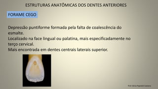 ESTRUTURAS ANATÔMICAS DOS DENTES ANTERIORES
Prof. Sônia Popiolek Caetano
Depressão puntiforme formada pela falta de coalescência do
esmalte.
Localizado na face lingual ou palatina, mais especificadamente no
terço cervical.
Mais encontrada em dentes centrais laterais superior.
FORAME CEGO
 
