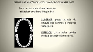 Ao fazermos a escultura devemos
respeitar uma linha imaginária:
63
ESTRUTURAS ANATÔMICAS EXCLUSIVA DE DENTES ANTERIORES
SUPERIOR: passa através do
cíngulo dos caninos e incisivos
superiores.
INFERIOR: passa pelas bordas
incisais dos dentes inferiores.
 