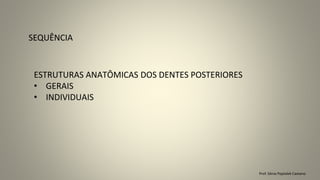 Prof. Sônia Popiolek Caetano
SEQUÊNCIA
ESTRUTURAS ANATÔMICAS DOS DENTES POSTERIORES
• GERAIS
• INDIVIDUAIS
 